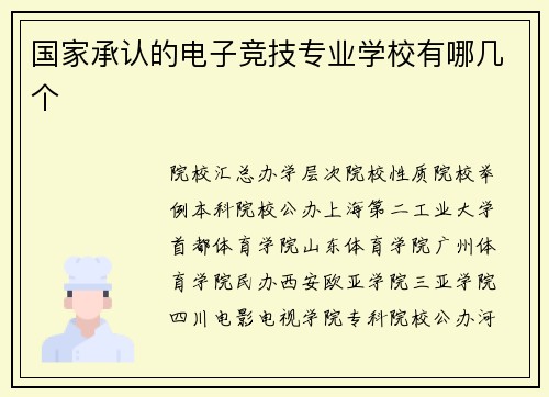 国家承认的电子竞技专业学校有哪几个